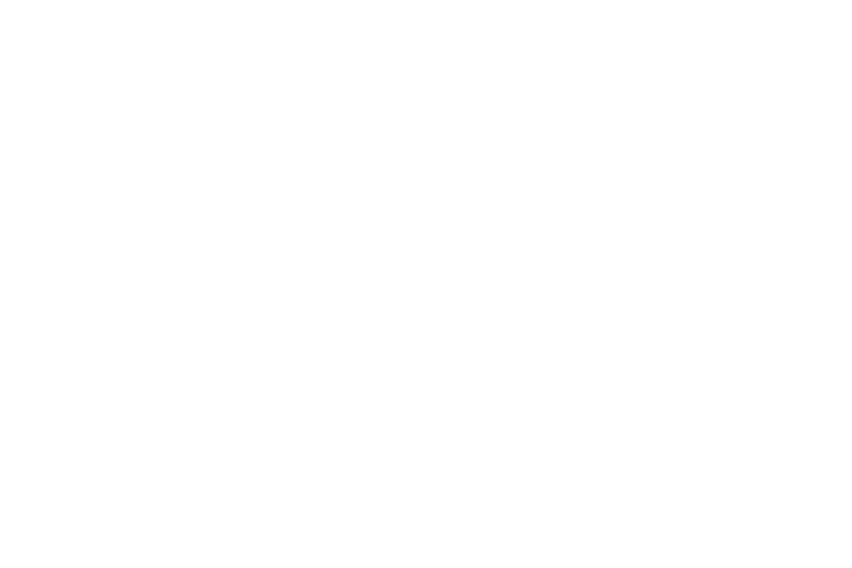 falak_white_logo